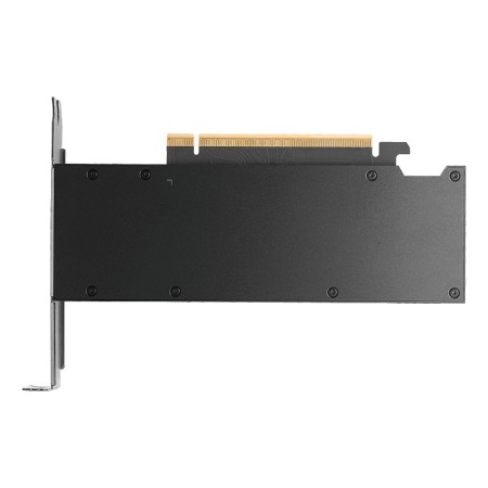 PNY RTX PRO 2000 Blackwell VCNRTXPRO2000-PB