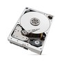 Seagate IronWolf Pro internal hard drive 10 TB 256 MB 3.5  Serial ATA III (ST10000NT001)
