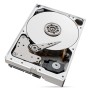 Seagate IronWolf Pro internal hard drive 10 TB 256 MB 3.5  Serial ATA III (ST10000NT001)