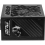 MSI MPG A1250GS 1250W PCIE5 80+ Gold power supply (306-7ZPFX11-CE0)