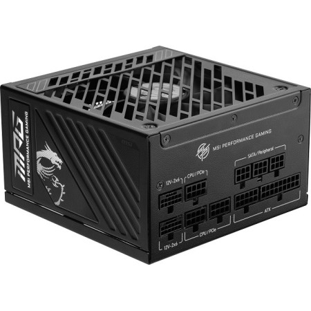 MSI MPG A1250GS 1250W PCIE5 80+ Gold power supply (306-7ZPFX11-CE0)