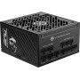 MSI MPG A1250GS 1250W PCIE5 80+ Gold power supply (306-7ZPFX11-CE0)