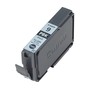 Cartuccia d'inchiostro nero (foto) PGI-9PBK