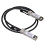 Zyxel DAC10G-1M-ZZ0103F InfiniBand/fibre optic cable SFP+ Black